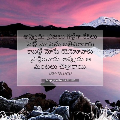 Picture 07 - సంఖ్యాకాండం 11:2 TELIRV - అప్పుడు ప్రజలు - Bible Verse Picture
