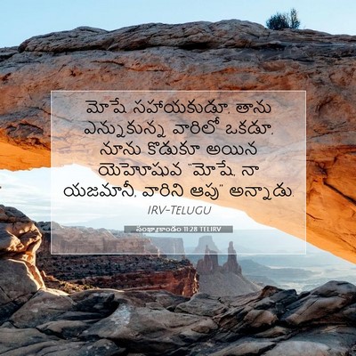 Picture 07 - సంఖ్యాకాండం 11:28 TELIRV - మోషే సహాయకుడూ, - Bible Verse Picture