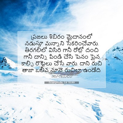 Picture 07 - సంఖ్యాకాండం 11:8 TELIRV - ప్రజలు శిబిరం - Bible Verse Picture