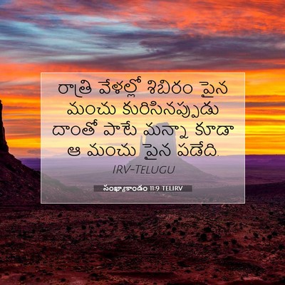Picture 07 - సంఖ్యాకాండం 11:9 TELIRV - రాత్రి వేళల్లో - Bible Verse Picture
