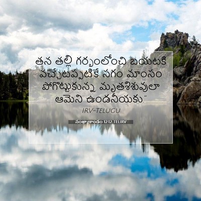 Picture 07 - సంఖ్యాకాండం 12:12 TELIRV - తన తల్లి - Bible Verse Picture
