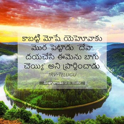 Picture 07 - సంఖ్యాకాండం 12:13 TELIRV - కాబట్టి మోషే - Bible Verse Picture