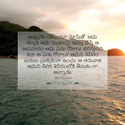 Picture 07 - సంఖ్యాకాండం 12:14 TELIRV - అప్పుడు యెహోవా - Bible Verse Picture
