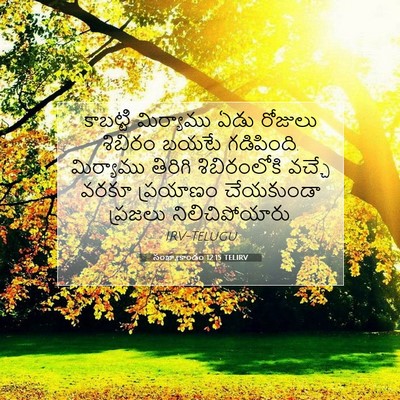 Picture 07 - సంఖ్యాకాండం 12:15 TELIRV - కాబట్టి మిర్యాము - Bible Verse Picture