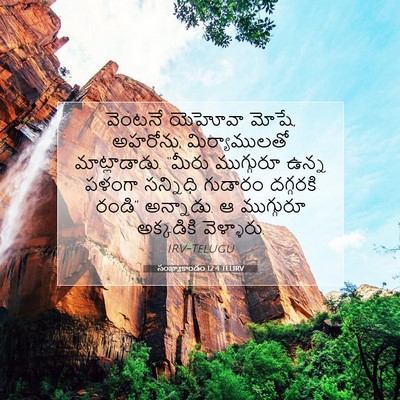 Picture 07 - సంఖ్యాకాండం 12:4 TELIRV - వెంటనే యెహోవా - Bible Verse Picture