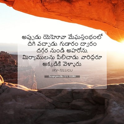 Picture 07 - సంఖ్యాకాండం 12:5 TELIRV - అప్పుడు యెహోవా - Bible Verse Picture