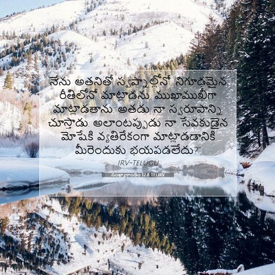 Picture 07 - సంఖ్యాకాండం 12:8 TELIRV - నేను అతనితో - Bible Verse Picture