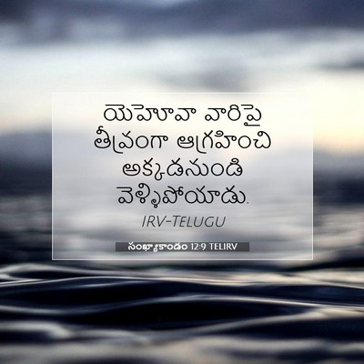 Picture 07 - సంఖ్యాకాండం 12:9 TELIRV - యెహోవా వారిపై - Bible Verse Picture