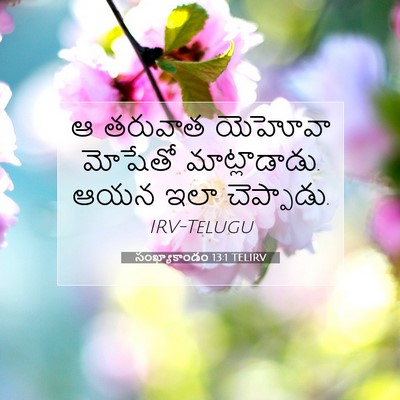 Picture 07 - సంఖ్యాకాండం 13:1 TELIRV - ఆ తరువాత యెహోవా - Bible Verse Picture