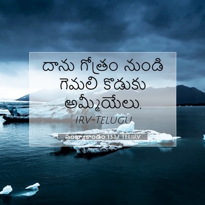 Picture 07 - సంఖ్యాకాండం 13:12 TELIRV - దాను గోత్రం నుండి - Bible Verse Picture