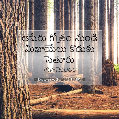 Picture 07 - సంఖ్యాకాండం 13:13 TELIRV - ఆషేరు గోత్రం - Bible Verse Picture