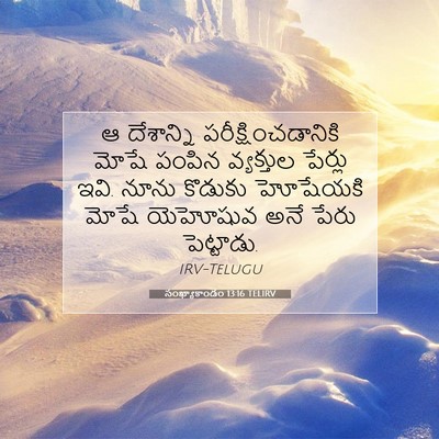 Picture 07 - సంఖ్యాకాండం 13:16 TELIRV - ఆ దేశాన్ని - Bible Verse Picture