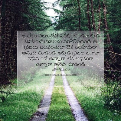 Picture 07 - సంఖ్యాకాండం 13:18 TELIRV - ఆ దేశం ఎలాంటిదో - Bible Verse Picture