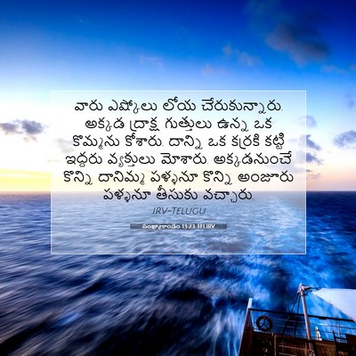 Picture 07 - సంఖ్యాకాండం 13:23 TELIRV - వారు ఎష్కోలు లోయ - Bible Verse Picture