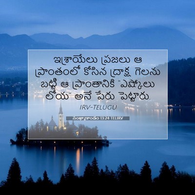 Picture 07 - సంఖ్యాకాండం 13:24 TELIRV - ఇశ్రాయేలు ప్రజలు - Bible Verse Picture