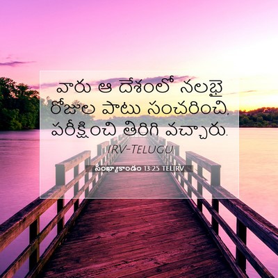 Picture 07 - సంఖ్యాకాండం 13:25 TELIRV - వారు ఆ దేశంలో నలభై - Bible Verse Picture