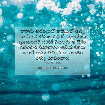 Picture 07 - సంఖ్యాకాండం 13:26 TELIRV - పారాను అరణ్యంలో - Bible Verse Picture