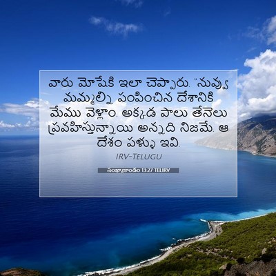 Picture 07 - సంఖ్యాకాండం 13:27 TELIRV - వారు మోషేకి ఇలా - Bible Verse Picture