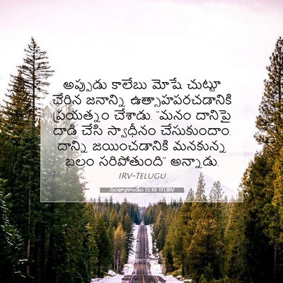 Picture 07 - సంఖ్యాకాండం 13:30 TELIRV - అప్పుడు కాలేబు - Bible Verse Picture
