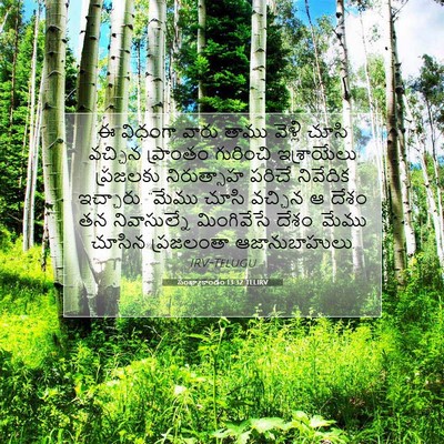 Picture 07 - సంఖ్యాకాండం 13:32 TELIRV - ఈ విధంగా వారు తాము - Bible Verse Picture