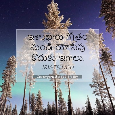 Picture 07 - సంఖ్యాకాండం 13:7 TELIRV - ఇశ్శాఖారు గోత్రం - Bible Verse Picture