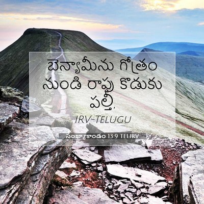 Picture 07 - సంఖ్యాకాండం 13:9 TELIRV - బెన్యామీను గోత్రం - Bible Verse Picture