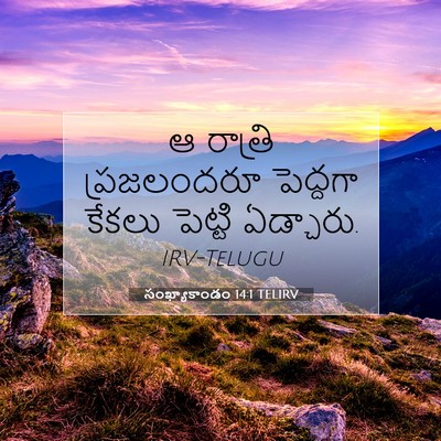 Picture 07 - సంఖ్యాకాండం 14:1 TELIRV - ఆ రాత్రి - Bible Verse Picture