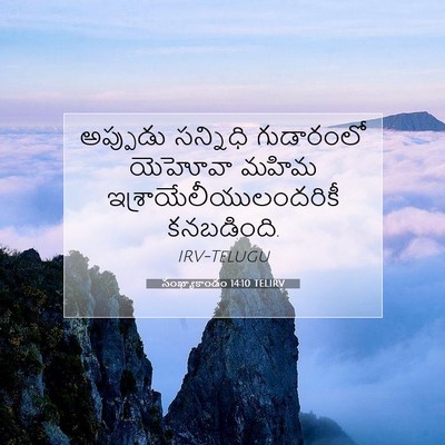 Picture 07 - సంఖ్యాకాండం 14:10 TELIRV - అప్పుడు సన్నిధి - Bible Verse Picture