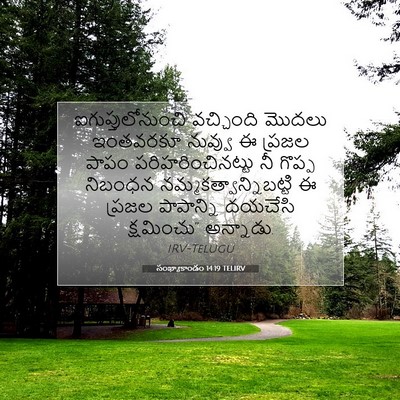 Picture 07 - సంఖ్యాకాండం 14:19 TELIRV - ఐగుప్తులోనుంచి - Bible Verse Picture