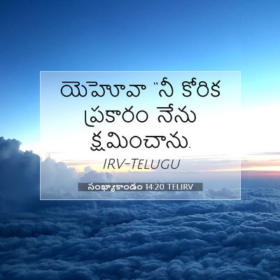 Picture 07 - సంఖ్యాకాండం 14:20 TELIRV - యెహోవా “నీ కోరిక - Bible Verse Picture