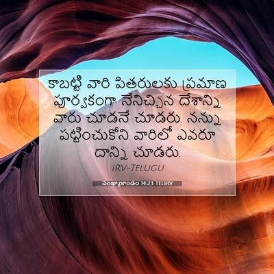 Picture 07 - సంఖ్యాకాండం 14:23 TELIRV - కాబట్టి వారి - Bible Verse Picture