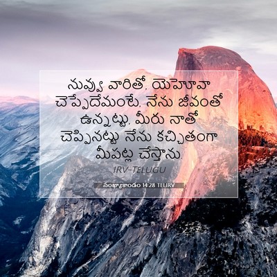 Picture 07 - సంఖ్యాకాండం 14:28 TELIRV - నువ్వు వారితో, - Bible Verse Picture