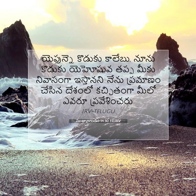 Picture 07 - సంఖ్యాకాండం 14:30 TELIRV - యెఫున్నె కొడుకు - Bible Verse Picture