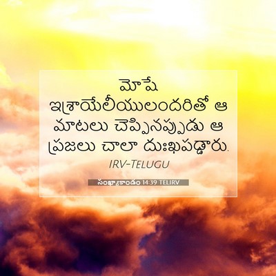 Picture 07 - సంఖ్యాకాండం 14:39 TELIRV - మోషే - Bible Verse Picture