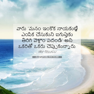 Picture 07 - సంఖ్యాకాండం 14:4 TELIRV - వారు “మనం ఇంకొక - Bible Verse Picture
