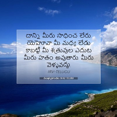 Picture 07 - సంఖ్యాకాండం 14:42 TELIRV - దాన్ని మీరు - Bible Verse Picture