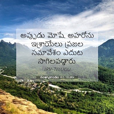 Picture 07 - సంఖ్యాకాండం 14:5 TELIRV - అప్పుడు మోషే, - Bible Verse Picture