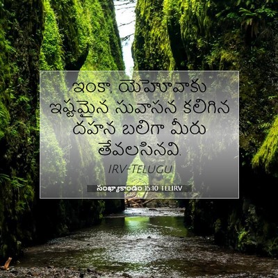 Picture 07 - సంఖ్యాకాండం 15:10 TELIRV - ఇంకా, యెహోవాకు - Bible Verse Picture