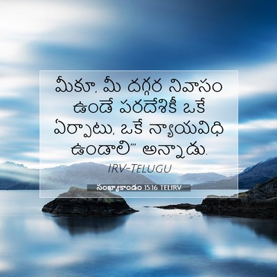 Picture 07 - సంఖ్యాకాండం 15:16 TELIRV - మీకూ, మీ దగ్గర - Bible Verse Picture