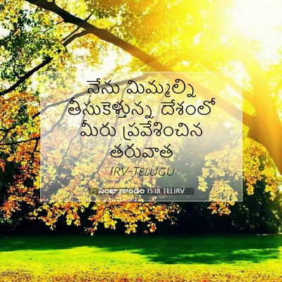 Picture 07 - సంఖ్యాకాండం 15:18 TELIRV - నేను మిమ్మల్ని - Bible Verse Picture