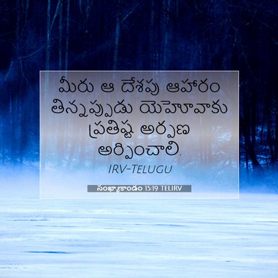 Picture 07 - సంఖ్యాకాండం 15:19 TELIRV - మీరు ఆ దేశపు ఆహారం - Bible Verse Picture