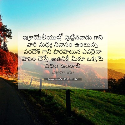 Picture 07 - సంఖ్యాకాండం 15:29 TELIRV - ఇశ్రాయేలీయుల్లో - Bible Verse Picture