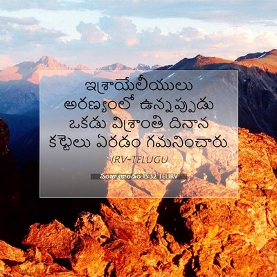 Picture 07 - సంఖ్యాకాండం 15:32 TELIRV - ఇశ్రాయేలీయులు - Bible Verse Picture