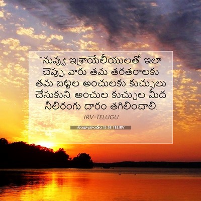 Picture 07 - సంఖ్యాకాండం 15:38 TELIRV - “నువ్వు - Bible Verse Picture