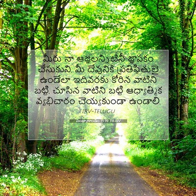Picture 07 - సంఖ్యాకాండం 15:39 TELIRV - మీరు నా - Bible Verse Picture
