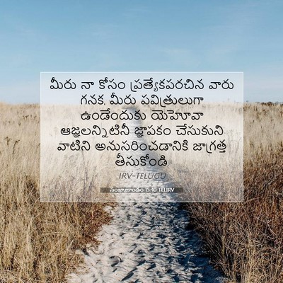 Picture 07 - సంఖ్యాకాండం 15:40 TELIRV - మీరు నా కోసం - Bible Verse Picture