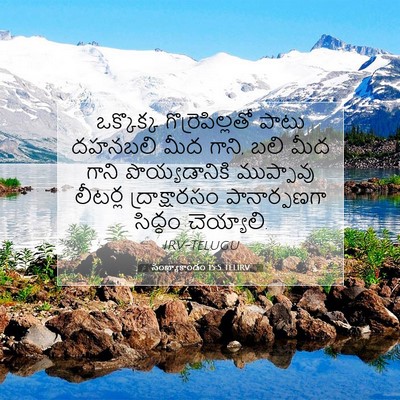 Picture 07 - సంఖ్యాకాండం 15:5 TELIRV - ఒక్కొక్క - Bible Verse Picture
