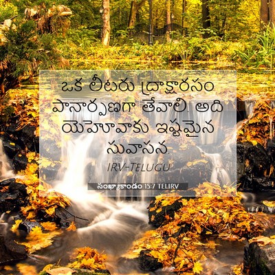 Picture 07 - సంఖ్యాకాండం 15:7 TELIRV - ఒక లీటరు - Bible Verse Picture
