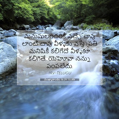 Picture 07 - సంఖ్యాకాండం 16:29 TELIRV - మనుషులందరికీ - Bible Verse Picture