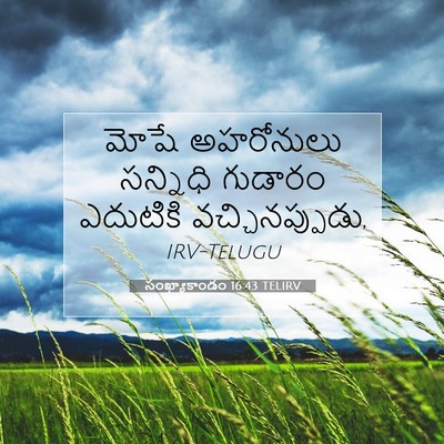Picture 07 - సంఖ్యాకాండం 16:43 TELIRV - మోషే అహరోనులు - Bible Verse Picture